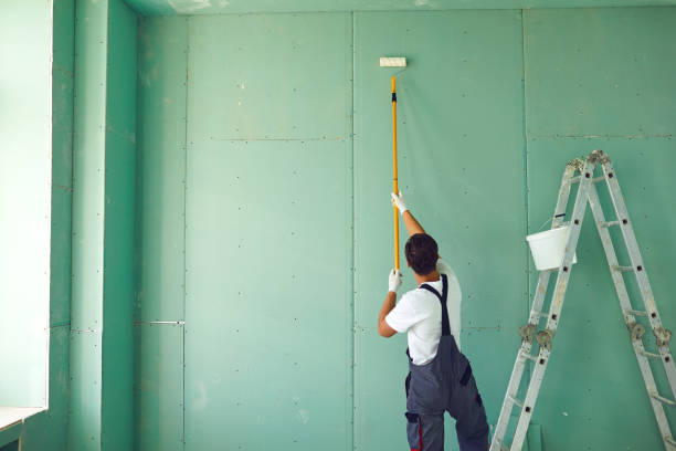 Best Mold Odor Removal Services  in North Little Rock, AR