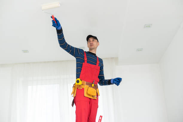Best Commercial Mold Inspection  in North Little Rock, AR