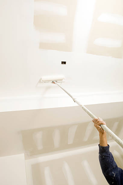 Best Mold Prevention Services  in North Little Rock, AR